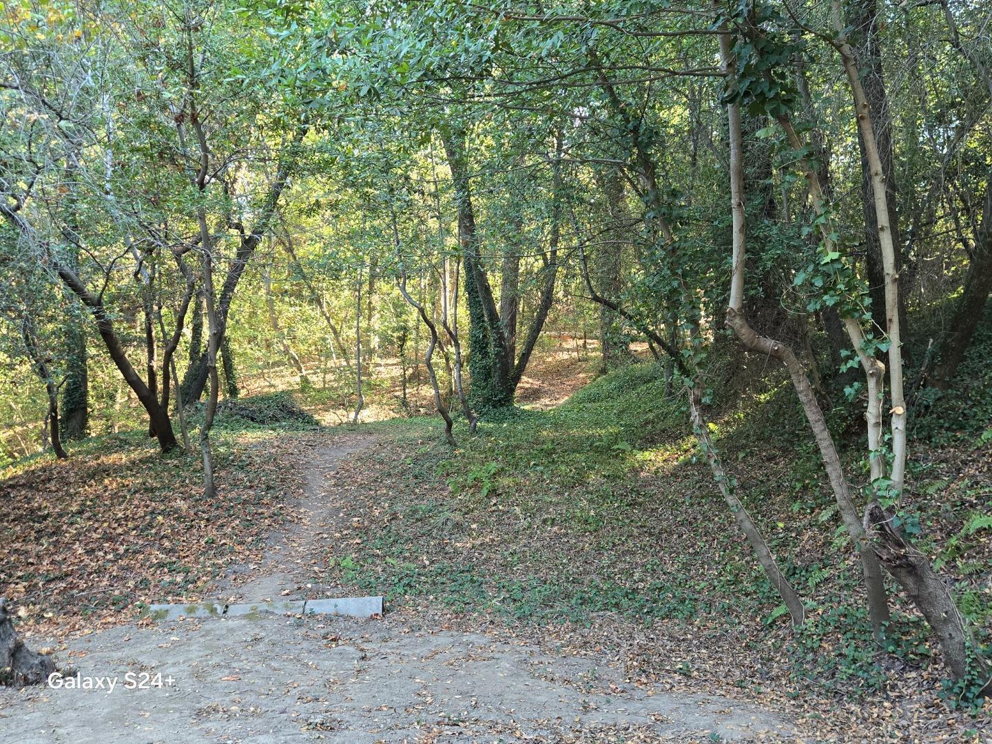 24766 Skyland Road photo 33