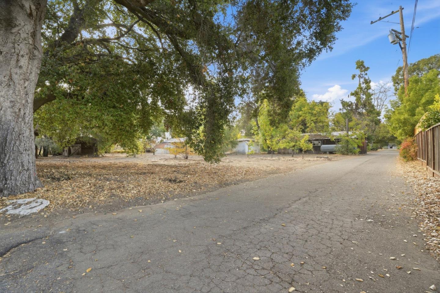 19125 Cox Avenue photo 4