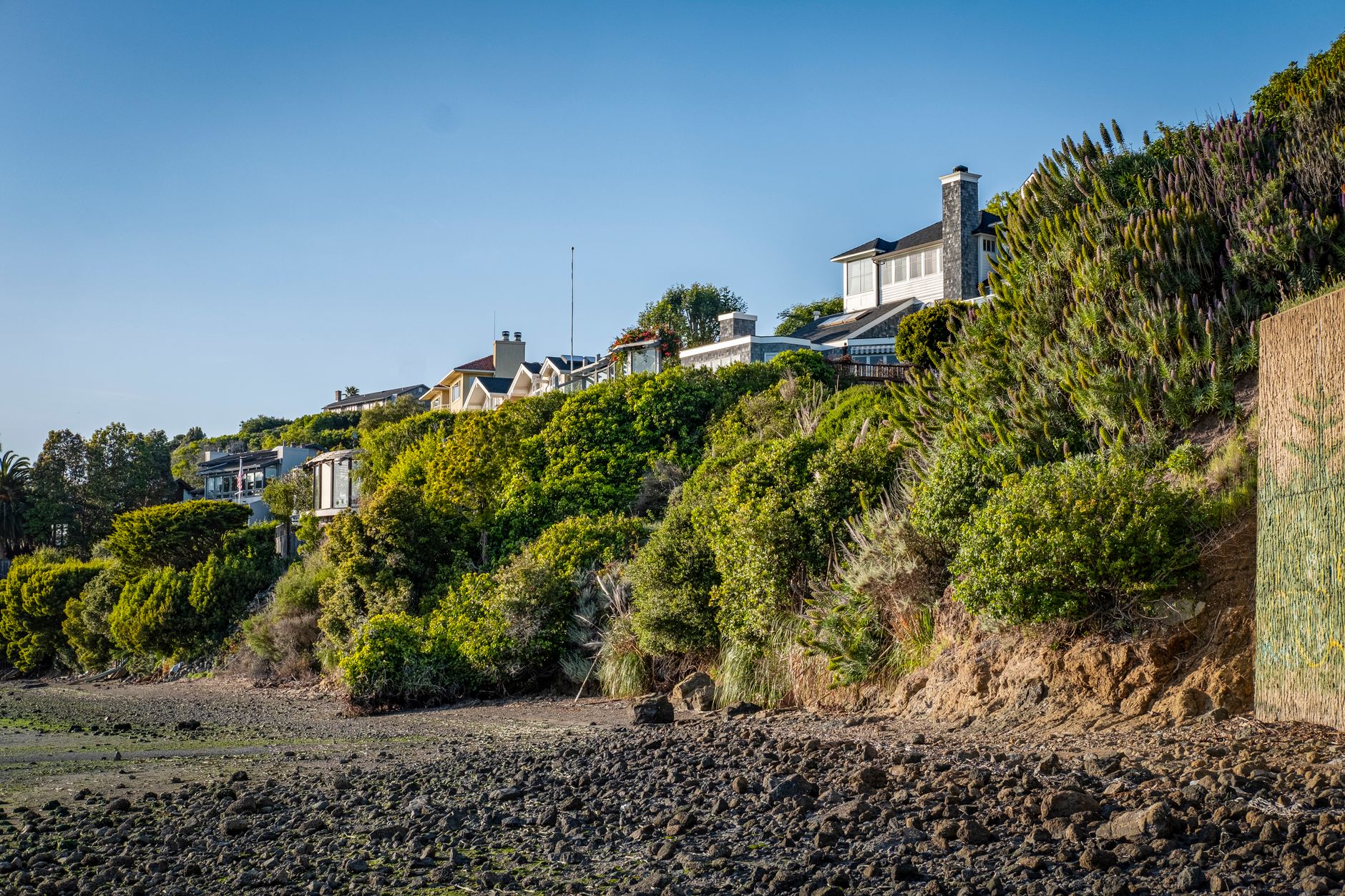 Scenic view of a coastal residential area featuring lush greenery and modern houses atop a rocky shoreline.