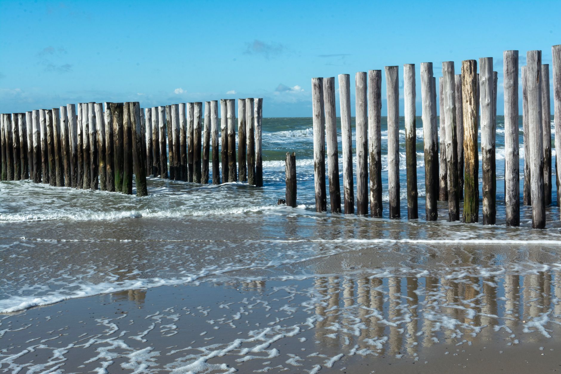 Wooden pilings extending into the sea with waves crashing, under a clear blue sky.