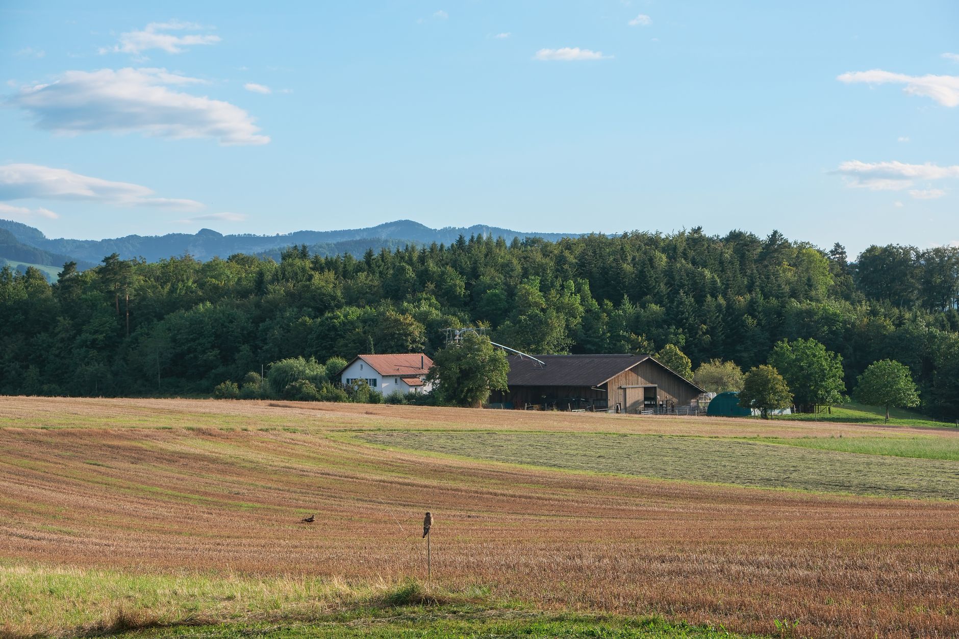 What Your Penngrove Parcel Actually Allows: Reading Sonoma County Zoning