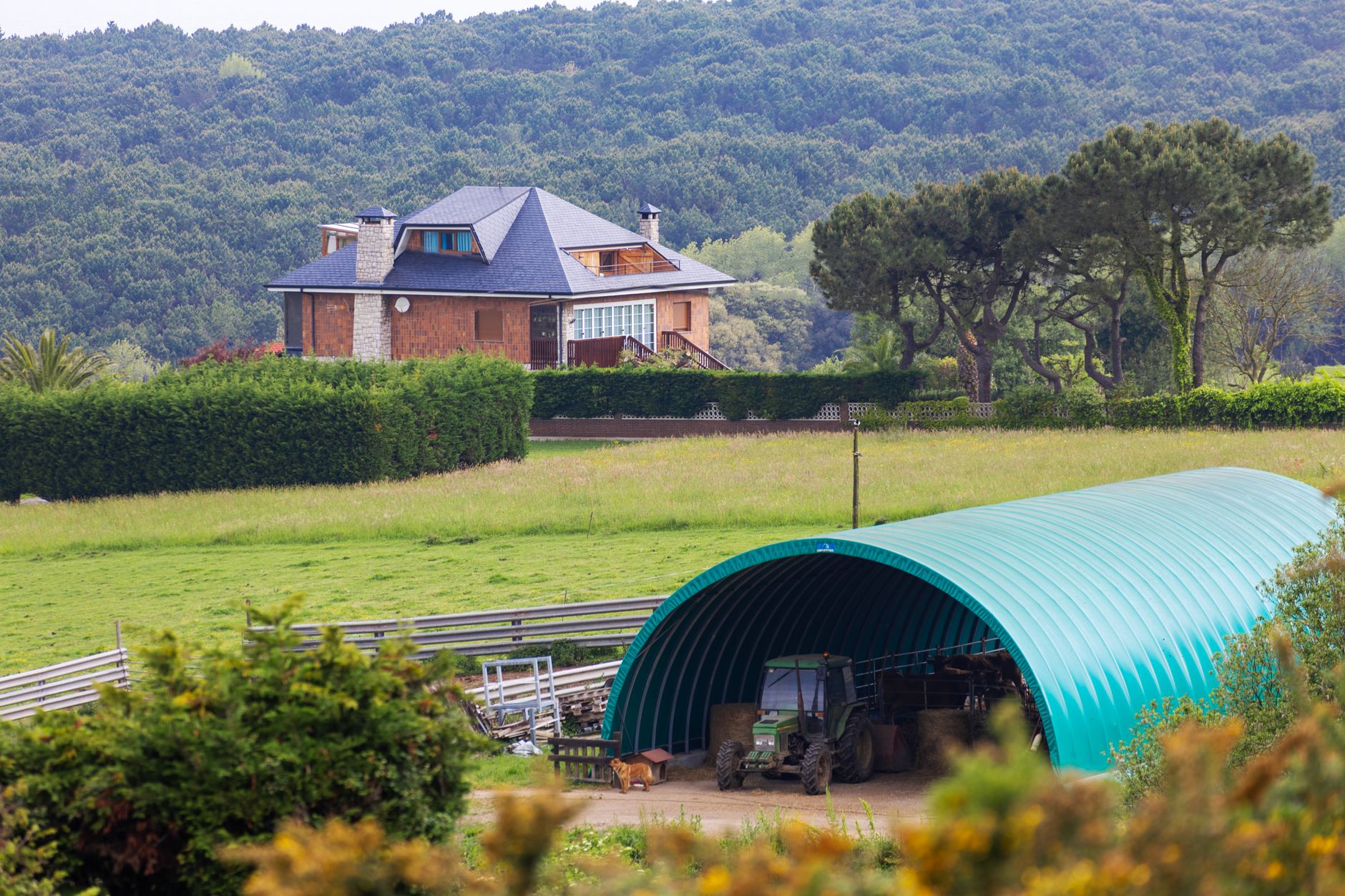 Idyllic countryside farmhouse with a modern greenhouse and lush greenery.